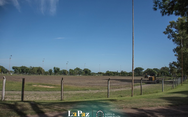 cancha-poli-d