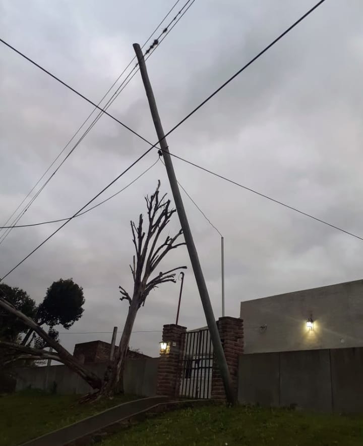 IMG-20200630-WA0012