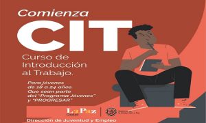 cursos-tic