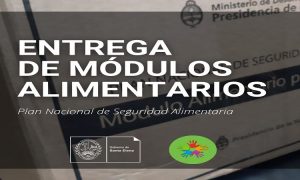 alimenta_