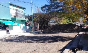 bache_