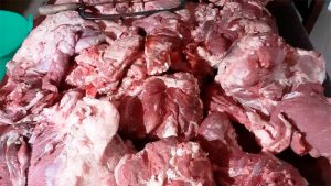 carne_robo