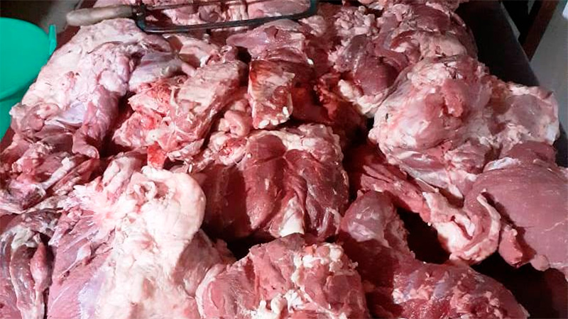 carne_robo