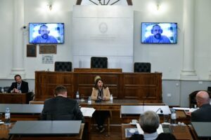 fiscales_senado