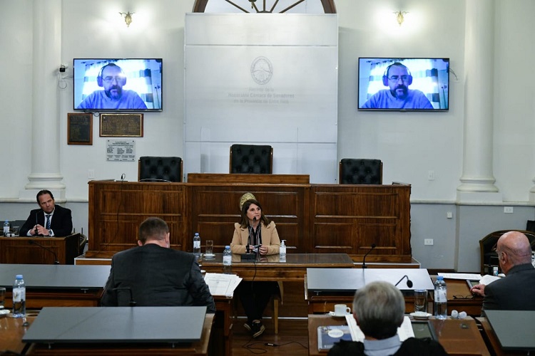 fiscales_senado