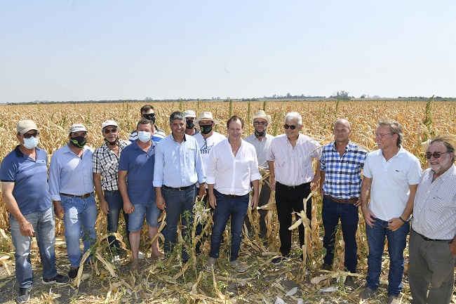 emer_agro