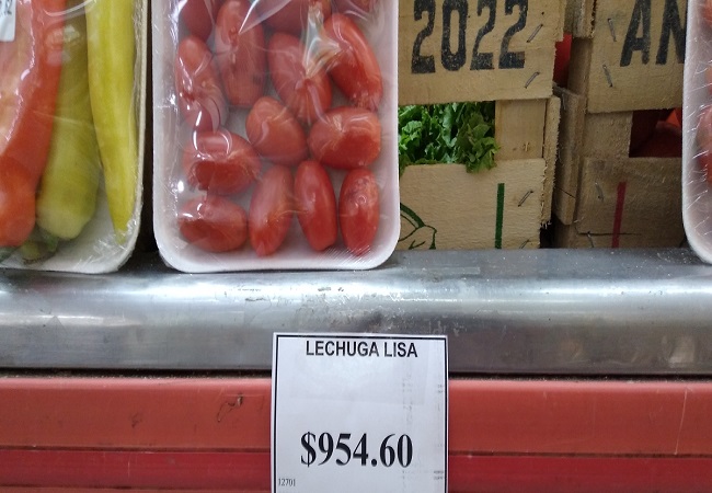 lechuga_