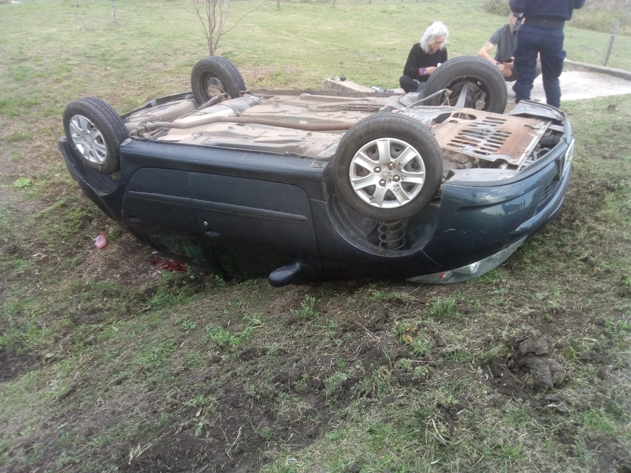 IMG-20220722-WA0041