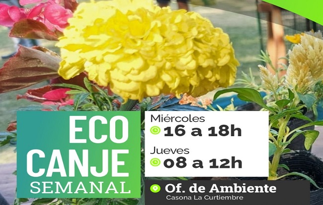 ecocanje_24
