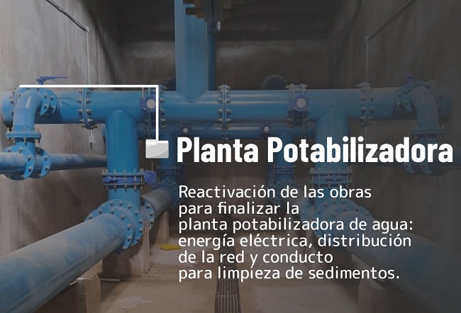 planta_
