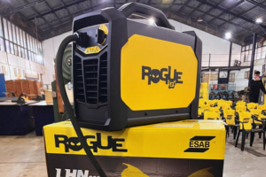rogue_
