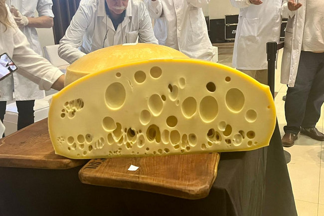 QUESO_