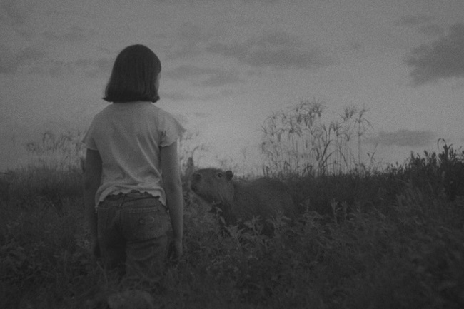 cine_er