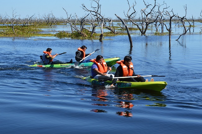 Kayak_