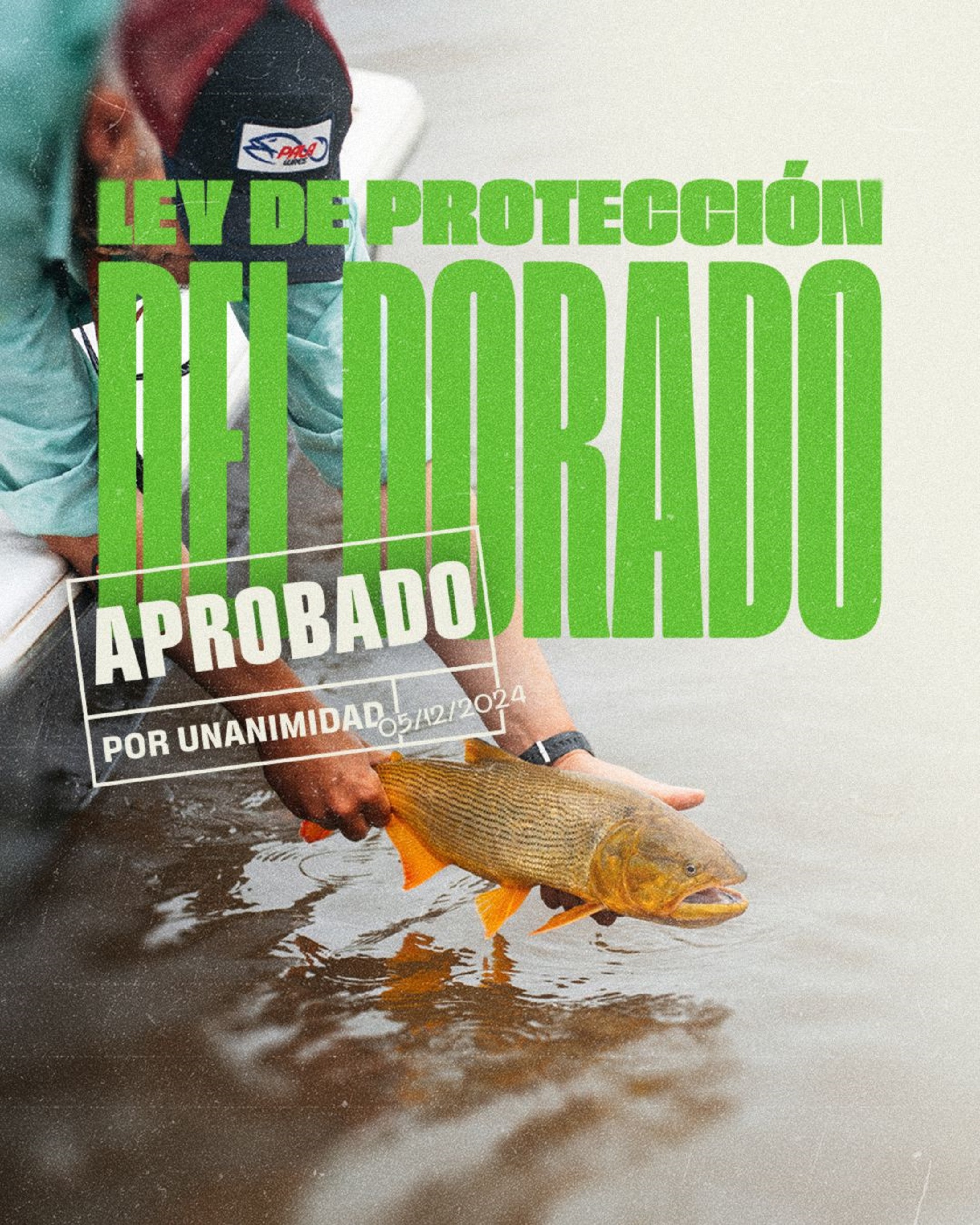 dorado