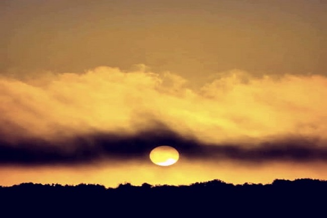 sol_12365
