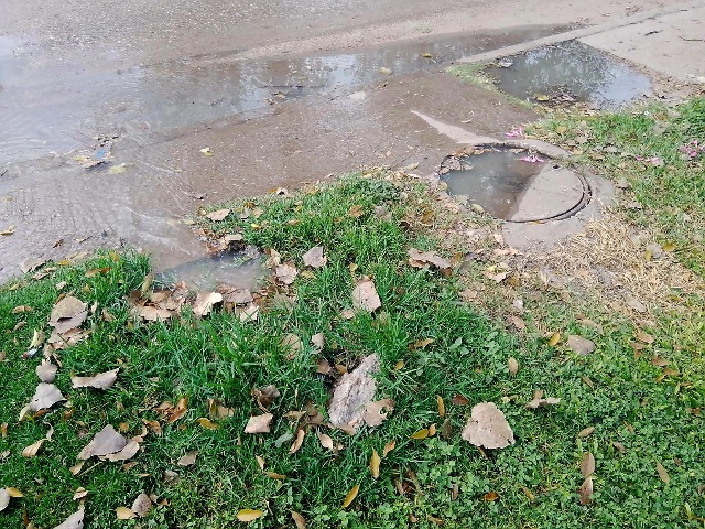 IMG-20250506-WA0012