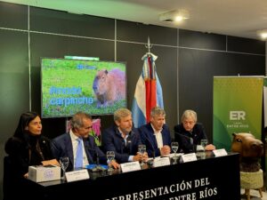 foto lanzamiento 2