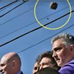 Incidente en caravana de campaña: Presidente Milei fue agredido