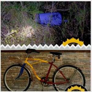photocollage_20258110368815