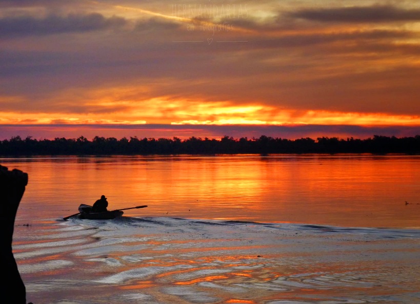 FB_IMG_1763155807879