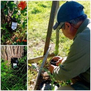 photocollage_2025112115442891