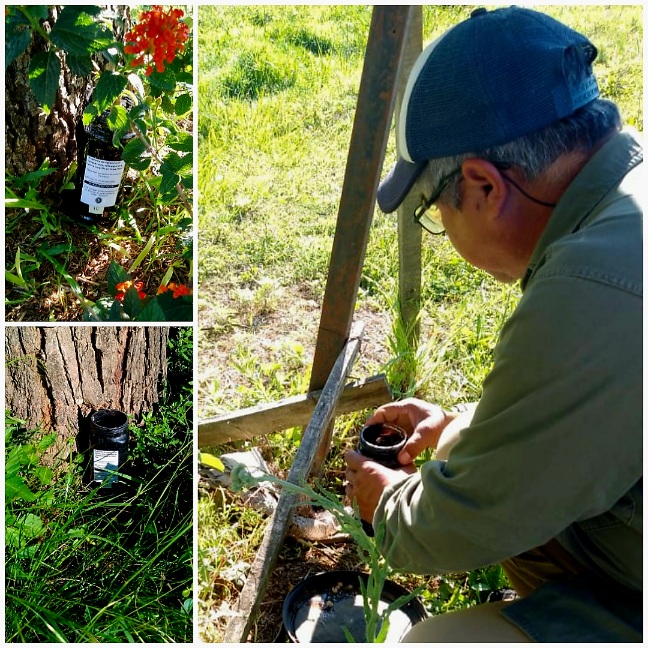 photocollage_2025112115442891