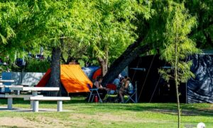 FB_IMG_1767488728567