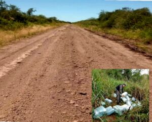 Polish_20260224_192550697